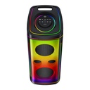 PARLANTE SOUL PLT-XL5000 ULTRA HIT 300W 2x8"